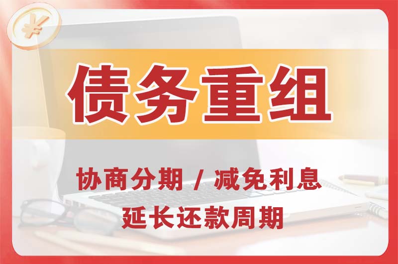 林芝债务重组