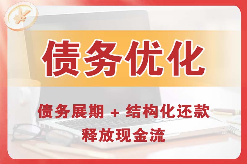 林芝债务优化